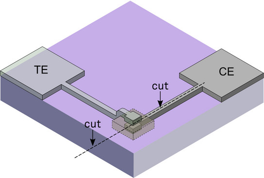 Functionalized vertical MSE device Functionalized vertical MSE device