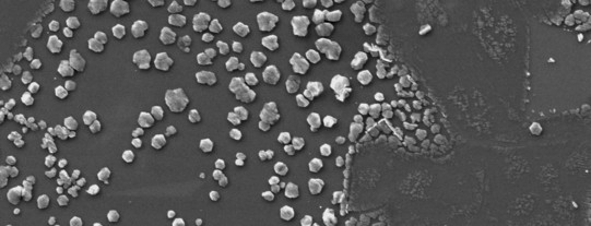 Rückstände nach hBN Transfer Rückstände nach Transfer von hexagonalen Bor-Nitrid
