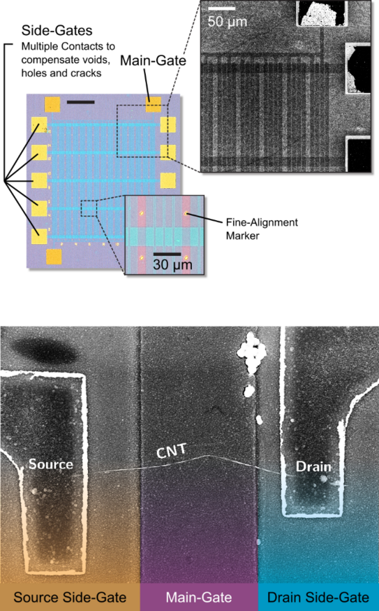 Graphen-basierte Plattform zur elektrostatischen Dotierung von niederdimensionalen Materialien