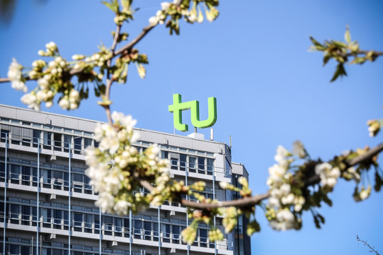 Kirschblüten vor dem Mathegebäude