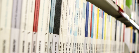 Bücher mit der Aufschrift Dissertation auf dem Buchrücken im Bücherregal der Bibliothek